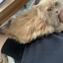 Sep_3 (0911~0917) 여행은 힘들어