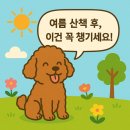 멍멍나래 이미지