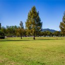 자라섬캠핑장 중도-1 이미지