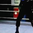 스텝복싱(Step Boxing) 이미지