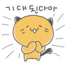 데본냥이 이미지
