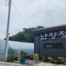 난향정