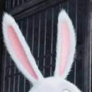 토끼랑 이미지