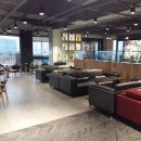 리스(219) 이미지