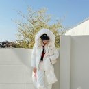 올리비아로렌 이미지