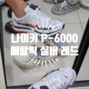 P-7509 | 나이키 P-6000 메탈릭실버레드 CD6404-102