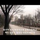 [도로]대유평 사거리 이미지