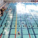 진남수영장 이미지