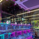 RAINBOW CASTLE 이미지