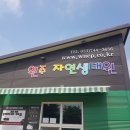 횡성타조농장 | 원주 자연생태원 후기