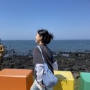 힐링투어컴 | ✈️제주도 패키지 여행 2박3일 일정 / 투어컴 남은금액 소진하기 /아부지 환갑잔치 여행 /4인가족 제주도...