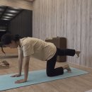 센트럴필라테스 - 도봉구 도봉로 588-5 | 창원 상남동 피티 마지막 수업 후기! 센트럴피지오 PT&필라테스 창원점 15~16회차 솔직 후기