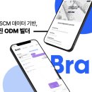 리틀펭귄
