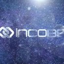 인코브(INCOBB KOREA) 기아 KA4 카니발(KIA KA4 CARNIVAL / SEDONA) 프리미엄 엠비언트 라이트 버전2 이미지