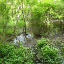 공원청과 - 광산구 산정공원로 16 | 공원청과