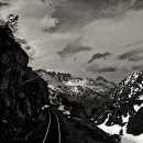 중부가축약품 이미지