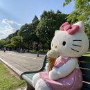 [Wlog #016] 롯데웨딩멤버스? 30만 마일리지 혜택받고 가입한 후기 (feat. 현대카드 이벤트)