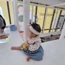 무인11 | 천안 무인키즈카페 후기 | 오로라마을 키즈카페 추천 핫플