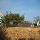 고양화전10 이미지