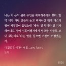 더돌체