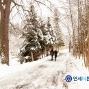 연세더튼튼의원 이미지