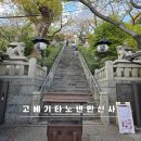 가나이글 | 고베 봄 여행 필수 코스, 기타노텐만신사(北野天満神社) 벚꽃 명소 방문 후기