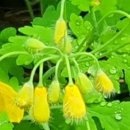 용사1구 이미지