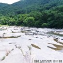 월림교 Daum카페