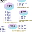 케이인베스트먼트