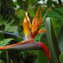 이화원(온실) 이미지