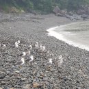 수화 헤어톡 이미지