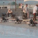 서곡공원 이미지