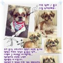 봉구 이미지