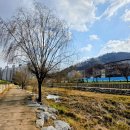 선기로1-2 이미지