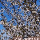 주정차-5 | [부산종주] 부산제로포인트(비구매) 등산코스(구봉산 엄광산 백양산 금정산)