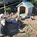 철우목장 이미지