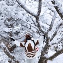 한산길 | [홈이코 등산 아이젠] 겨울 등산의 필수템 전문가용 홈이코아이젠 추천