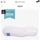 일자목 진단받아서 가누다 베개 질렀어요!! 가누다 n달째 사용후기