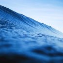 해바라기씨의 효능, 부작용, 올바른 섭취 방법 이미지