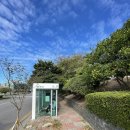 제주 월령리 선인장군락 이미지