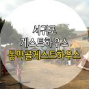 서귀포게스트하우스 :: 동막골 게스트하우스 좋아요 :)