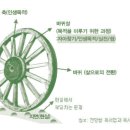 전방향 독서법의 원리 이미지