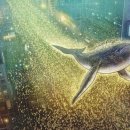 광장71호 이미지