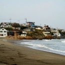 부흥해수욕장 이미지