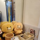 쿄다이텐동 | [홍대 텐동 맛집] 쿄다이텐동 스페셜텐동 추천후기