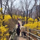 시민의숲산책로1-21 이미지