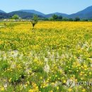 낙동강변18 이미지