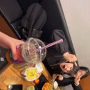 은솔다방 네이버블로그