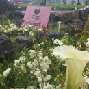 뿌리게스트하우스 이미지