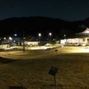 고향집손칼국수 이미지